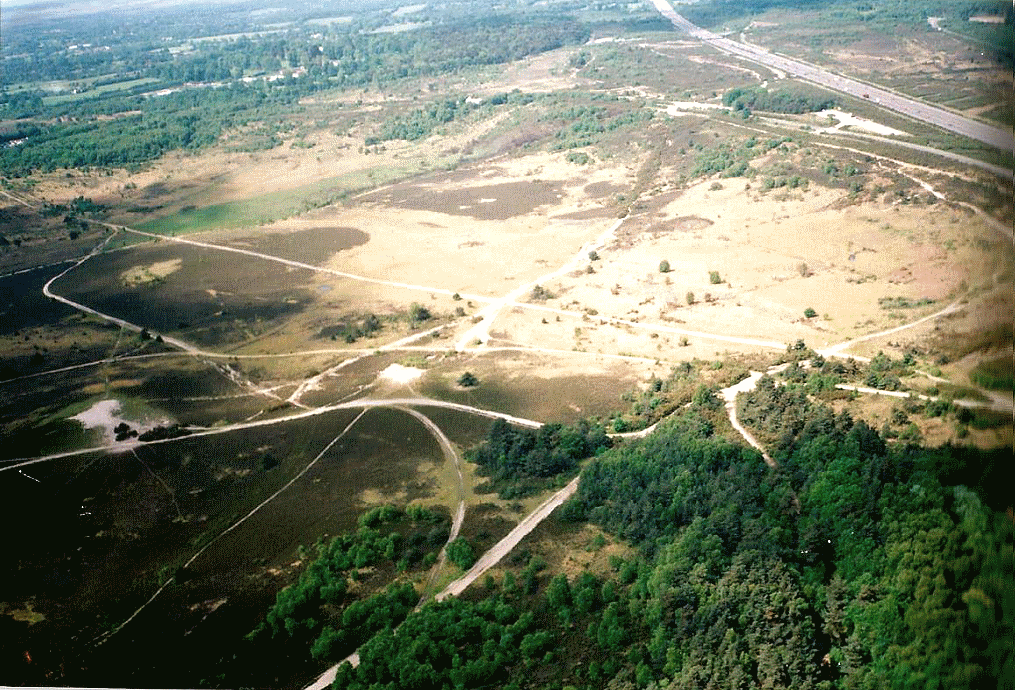 Chobham Common Tank Hill flying site