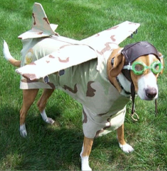 Dog Fight Pilot