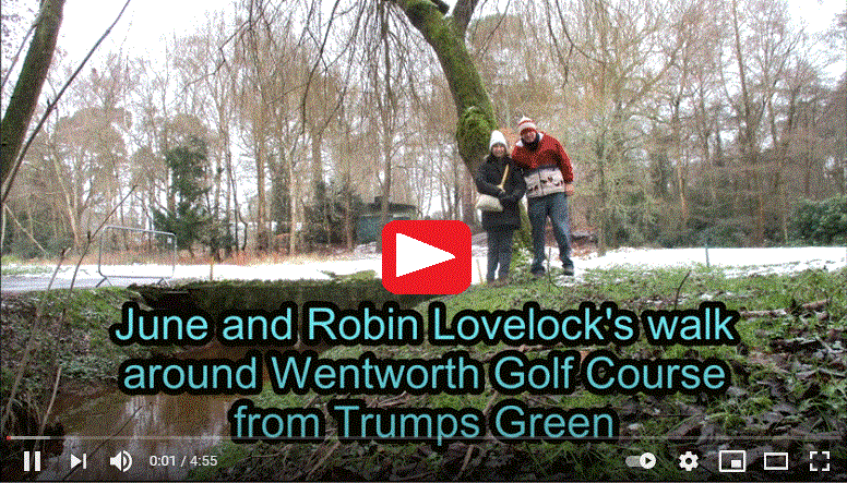 Trumps Green to Wentworth Golf Course