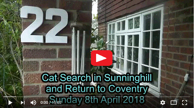 Finding Cats in Sunninghill