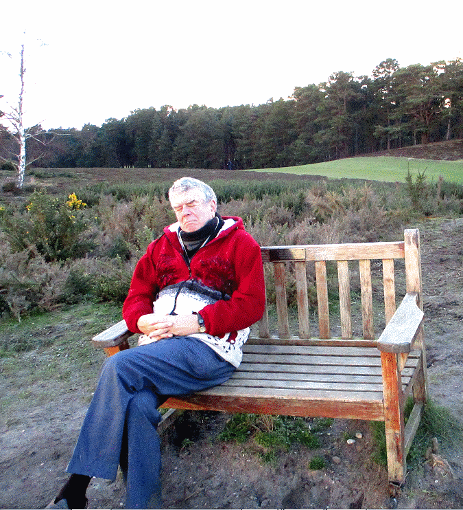 Chobham Common High Point from the Brickmakers