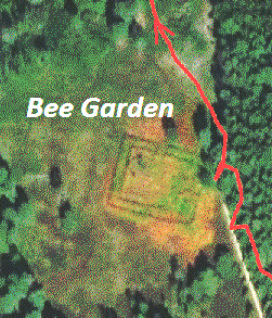 shortcut Bee Garden on Chobham Common